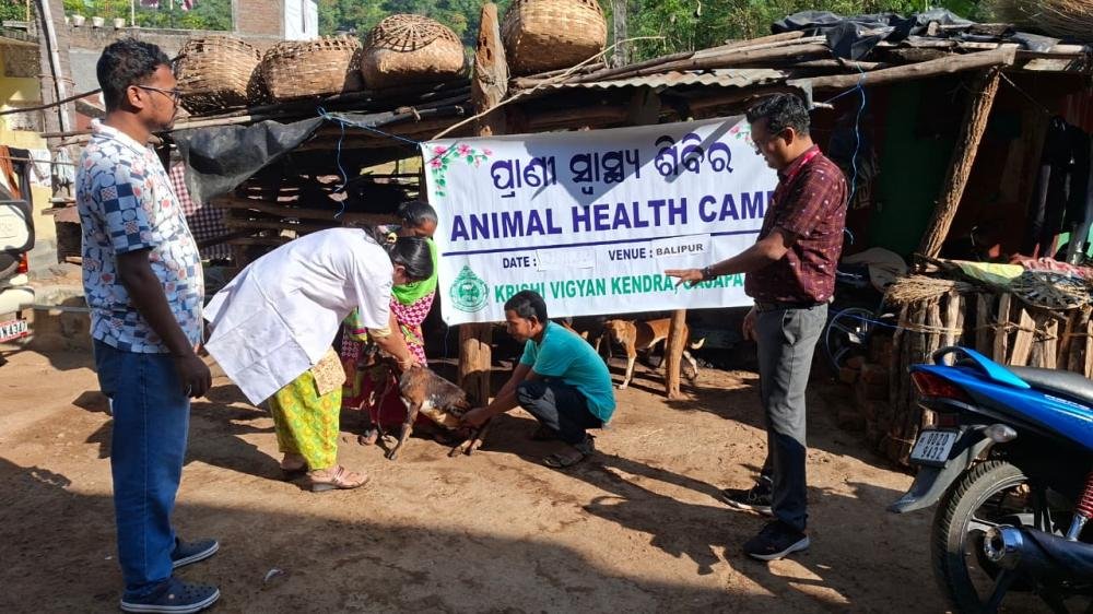 Other Extension Activities