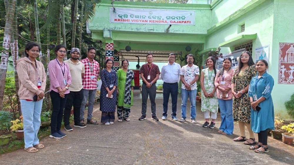 Other Extension Activities