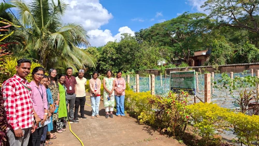 Other Extension Activities