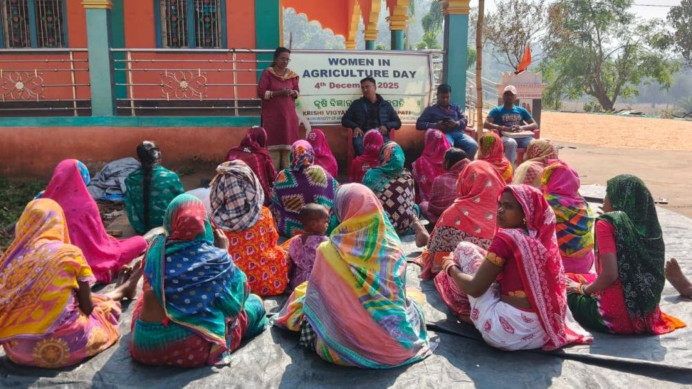 Other Extension Activities