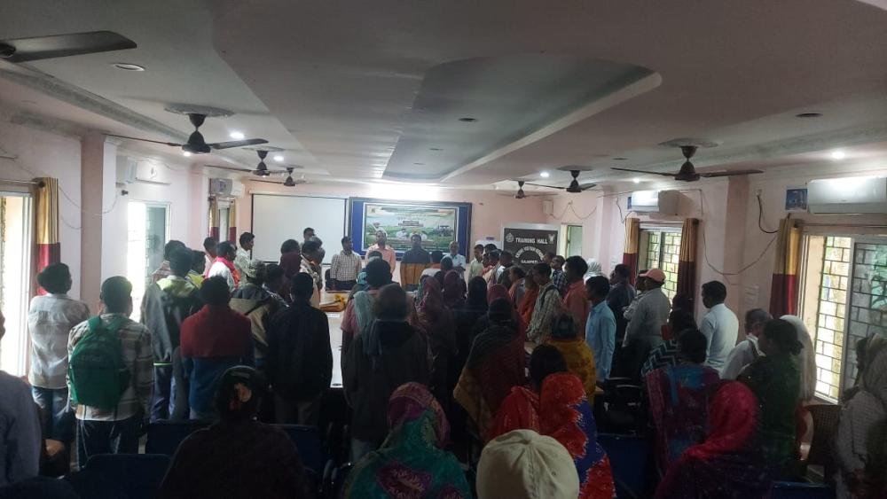 Other Extension Activities