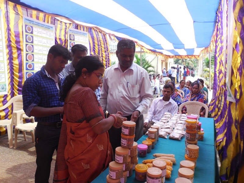 Krishi Vigyan Kendra, Rayagada