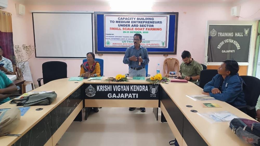 Sponsored Training Programmes