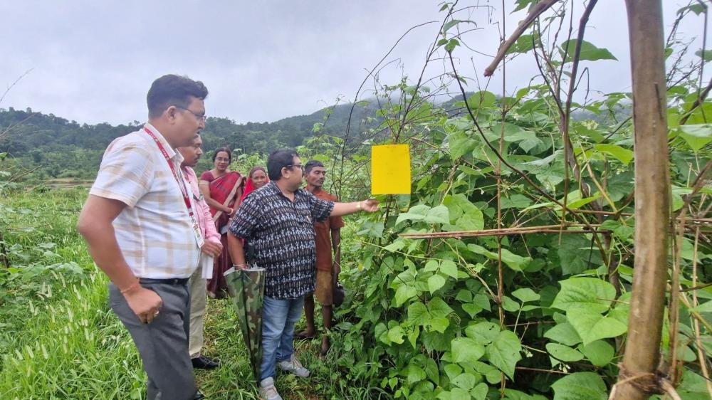 Other Extension Activities