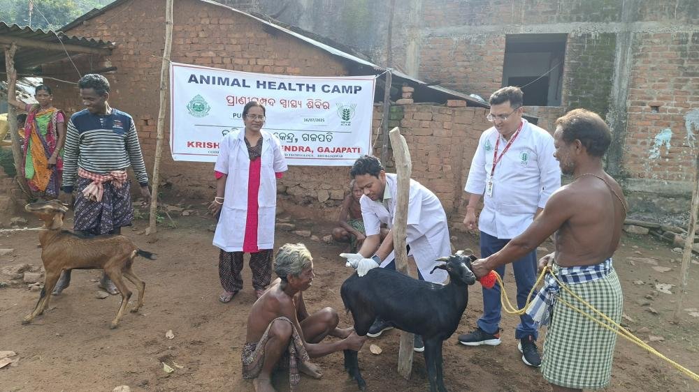 Other Extension Activities