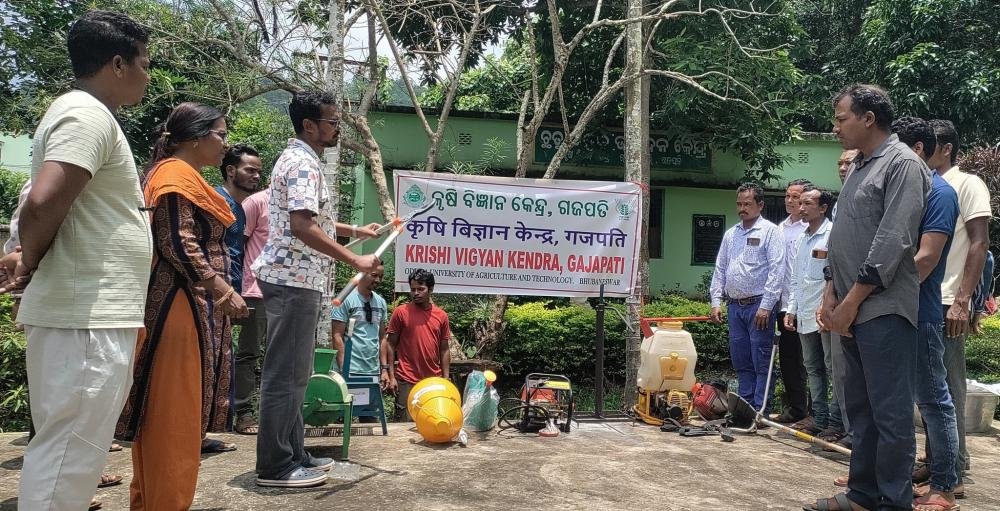 Other Extension Activities