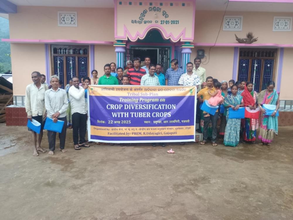 Other Extension Activities