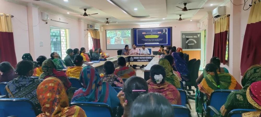 Other Extension Activities