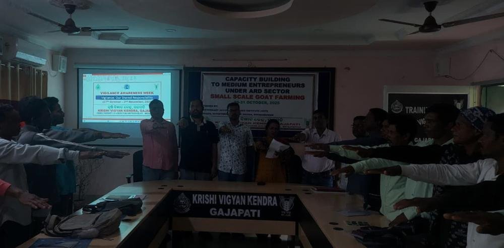 Other Extension Activities