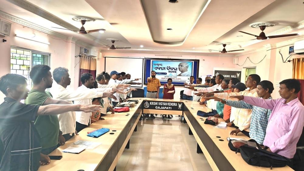 Other Extension Activities