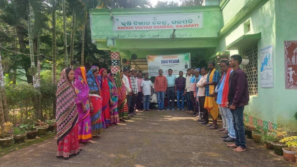 Other Extension Activities