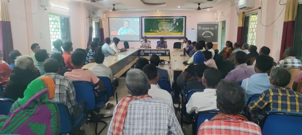 Other Extension Activities